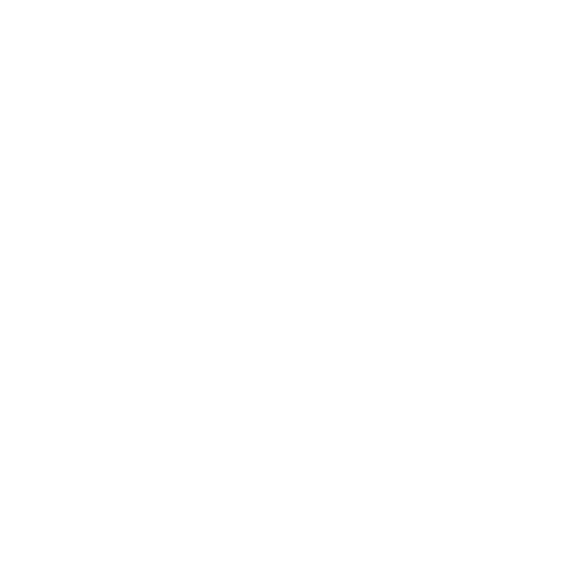 Envise AI Logo